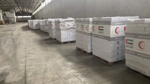 Dátiles de Emiratos para Turquía. (WAM)