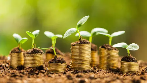 Una imagen a modo ilustrativo. (WAM)