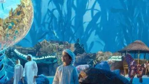 Una imagen de Sea World en Yas Island Abu Dhabi. (Twitter)