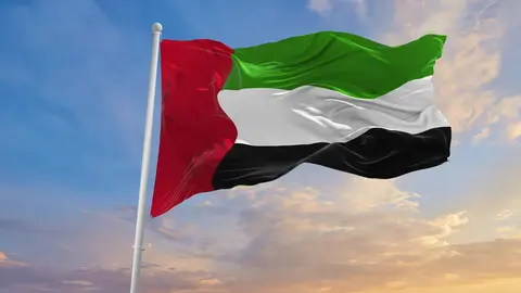 Una imagen de la bandera de Emiratos Árabes Unidos. (WAM)