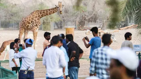 Una imagen del zoo de Al Ain. (WAM)