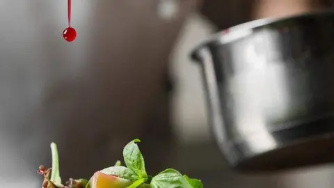 Una imagen a modo ilustrativo. (Web tcaabudhabi)