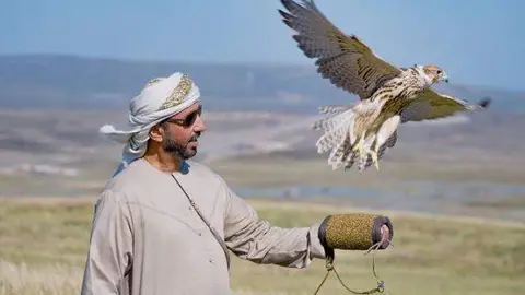 Un halcón liberado por Emiratos en Kazajistán.