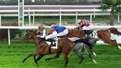 Una imagen del hipódromo de San Sebastián. (WAM)