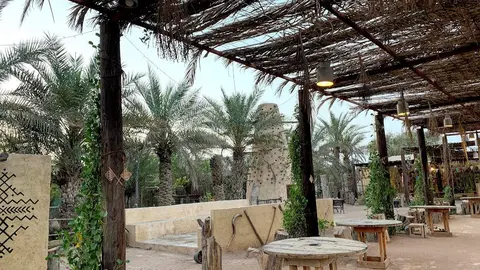 Granja en Emiratos Árabes. (EL CORREO)