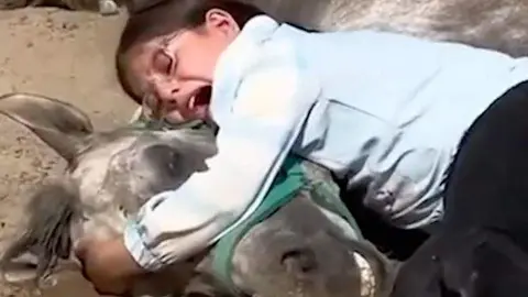 Una captura de pantalla del vídeo difundido de la niña junto a su caballo muerto.