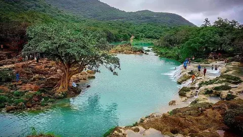 Una imagen de Salalah en Omán. (Fuente externa)