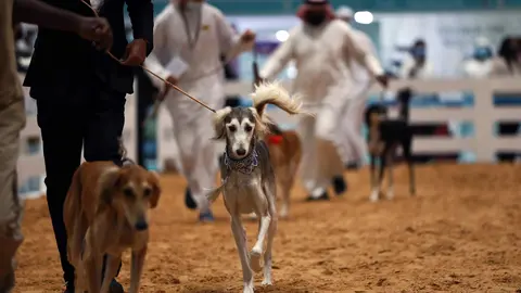 Una imagen de una edición de Adihex. (WAM)