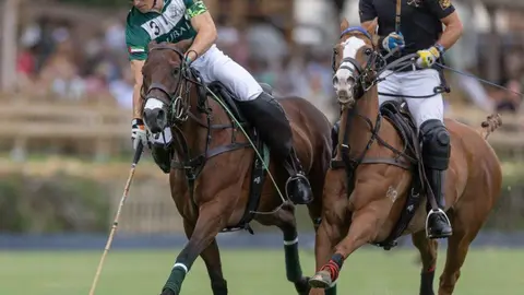 Un momento del encuentro de polo. (sotograndedigital.com)