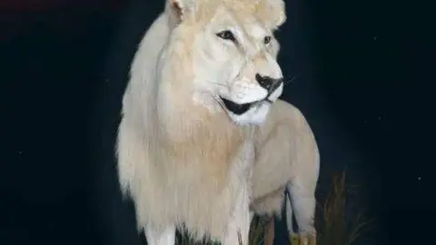 Una imagen a modo ilustrativo. (ADIHEX)