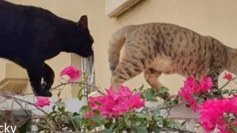 Una imagen a modo ilustrativo. (Facebook)