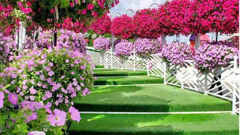 Una imagen del Dubai Miracle Garden. (Twitter)