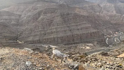 Una vista de la montaña Jebel Jais en EAU. (EL CORREO)