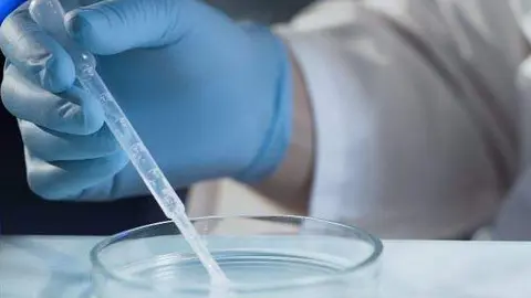 Una imagen a modo ilustrativo de fecundación in vitro. (pexels.com)