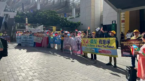 Activistas de la comunidad vegana en la Cop28 de Dubai. (EL CORREO)