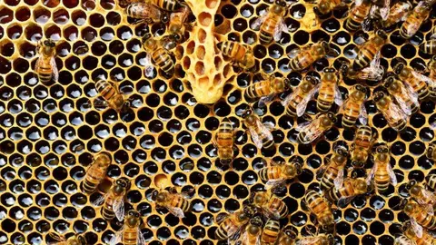 Una imagen a modo ilustrativo. (pexels.com)