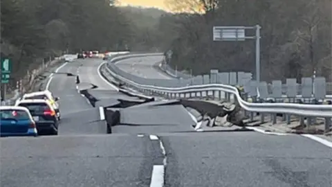 Efectos del terremoto en una carretera japonesa. (Twitter)