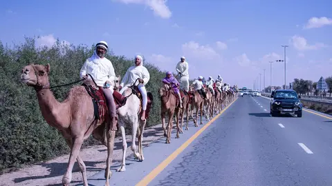 Participantes de la Camel Trek en Dubai. (WAM)