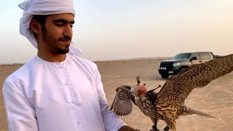 Un emiratí con su halcón. (EL CORREO)