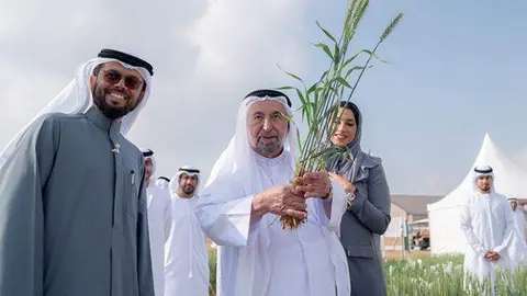 El jeque Sultan recorre la granja de trigo de Mleiha durante su segunda cosecha. (Fuente externa)