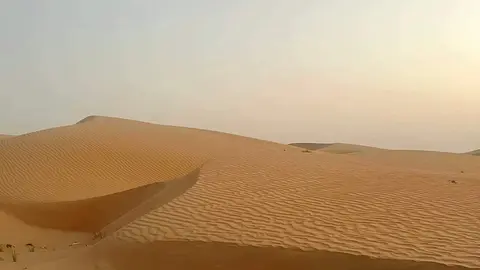 Una imagen de un desierto a modo ilustrativo. (Fuente externa)