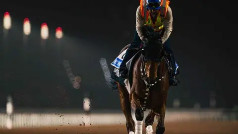 Caballo y jinete en plena carrera. (Dubai Racing Club)
