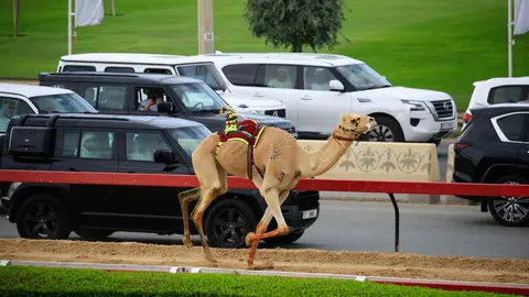 El gobernante de Dubai sigue desde su coche la evolución de la carrera. (WAM)