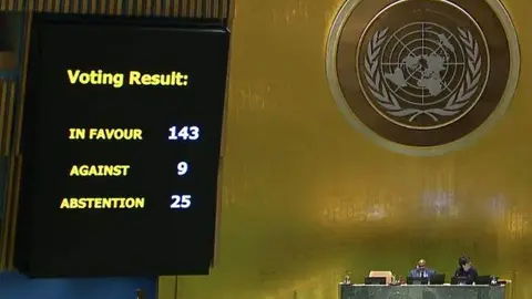 Un momento de la votación este sábado en Naciones Unidas. (X)