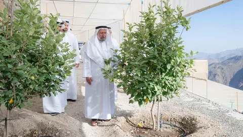 El gobernante de Sharjah recorre el retiro en la montaña de Kalba. (WAM)