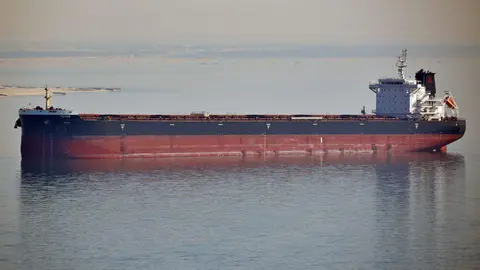 Una imagen del granelero hundido en el Mar Rojo. (X)