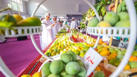 Una imagen del Festival del Mango. (WAM)