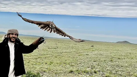 Un halcón vuela libre en Kazajstán. (WAM)