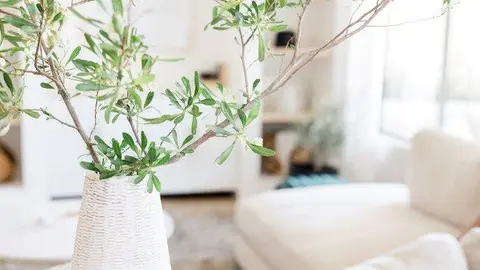 Una imagen a modo ilustrativo. (Silverswan)