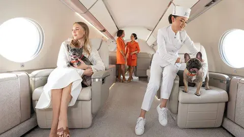 Las mascotas viajan cómodas en avión. (Jetex)