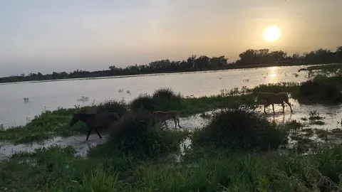 La tierra gira alrededor del sol. (EL CORREO)
