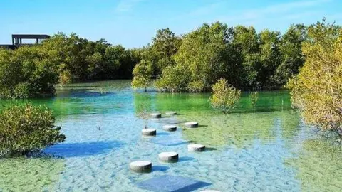 Una imagen de Yas Island. (X)