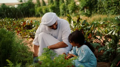 En los actos participarán entidades y particulares de EAU. (WAM)