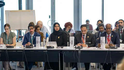 La delegación de EAU en la Cop16. (WAM)