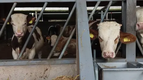 Una imagen a modo ilustrativo. (EL CORREO)