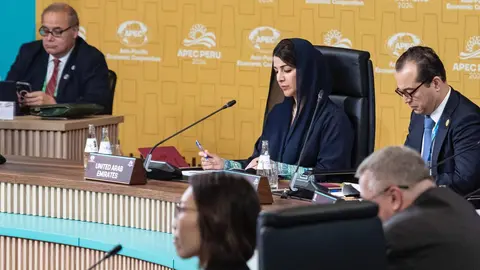 La ministra de Estado para la Cooperación Internacional de EAU. (WAM)