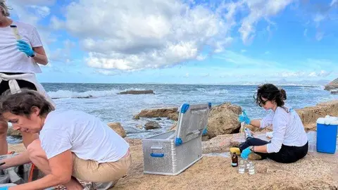 A modo ilustrativo, científicos biológicos. (X)