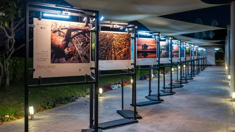 Una imagen de la exposición fotográfica de manglares. (WAM)