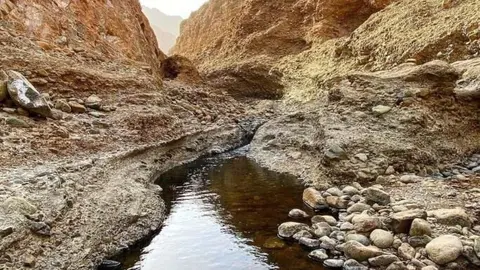 Parque Nacional Wadi Wurayah. (X)