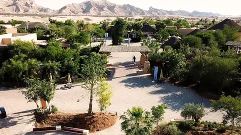 Una imagen del Zoo de Al Ain. (WAM)