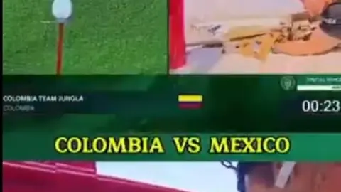 Una captura de pantalla del vídeo difundido. (X)