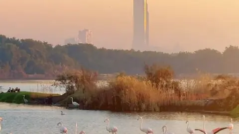 Una imagen de Dubai. (VisitDubai)