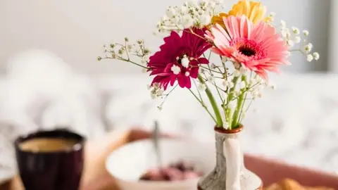 Una imagen a modo ilustrativo. (Silverswan)