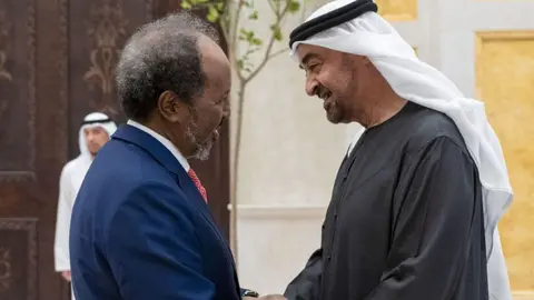 El presidente de EAU saluda a su homólogo de Somalia durante una reunión este mes de marzo. (WAM)