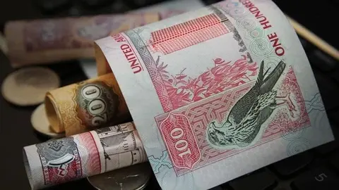 billetes de dirhams emiratíes. (WAM)
