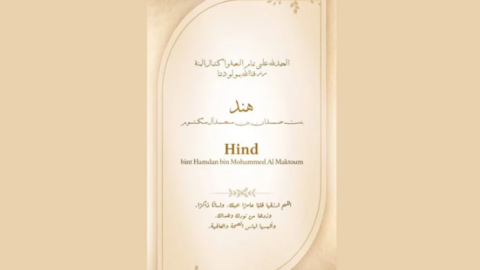 Con esta imagen el príncipe heredero de Dubai anunció el nacimiento de Hind. (Redes Sociales)